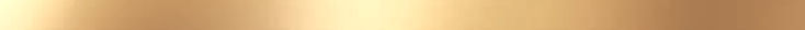Gold Strip_edited.jpg