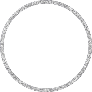 394-3942545_circle-silver-silvercircle-glitter-frame-circleframe-silver-glitter.png