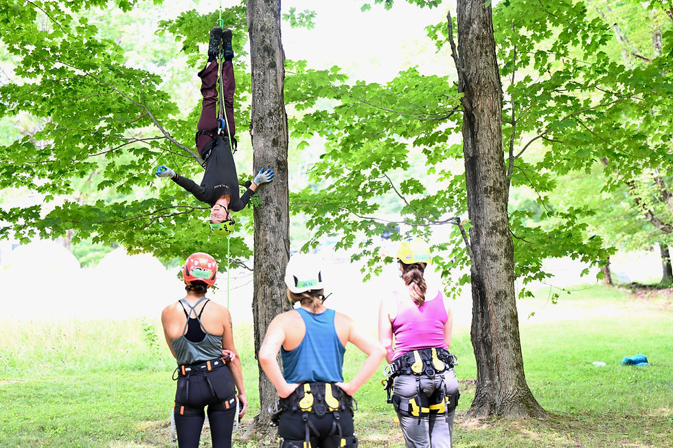Thumbnail: May 30 or May 31: Tree Dancing Days (Vermont, USA)