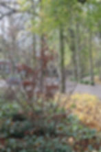 Voorgrond