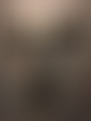 Lenten Reflection 2017