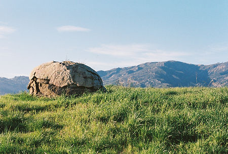 Roll1_136033NM002853-R1-E001.JPG