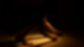 _MGL5388-Edit-12x8_edited.jpg