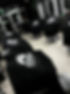 shop interior 1.jpg