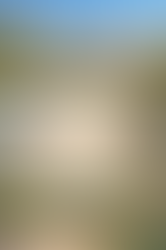 Présence à soi dans une intention de se ressourcer