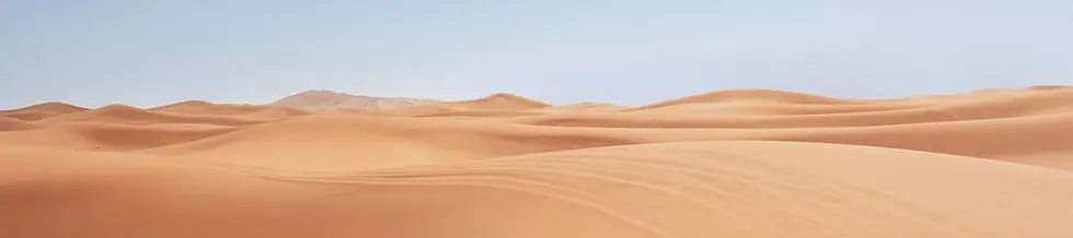 dunes 3.webp