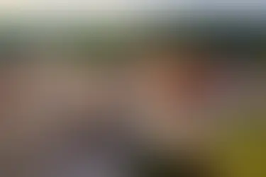 Participez à la Journée du Cycle MBSR de printemps à l’Abbaye Notre-Dame d'Aiguebelle