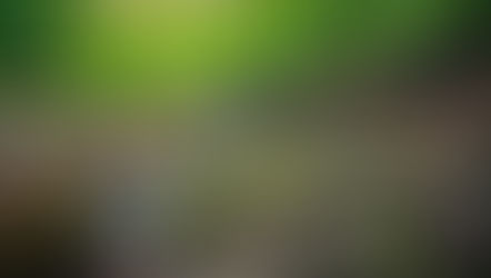 HYLA BROOK WINTER 2021-2022