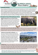 Thumbnail NewsletterDec25.jpg