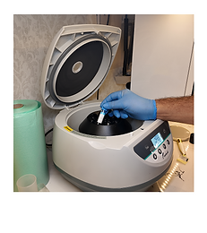 Group 1707481024.png