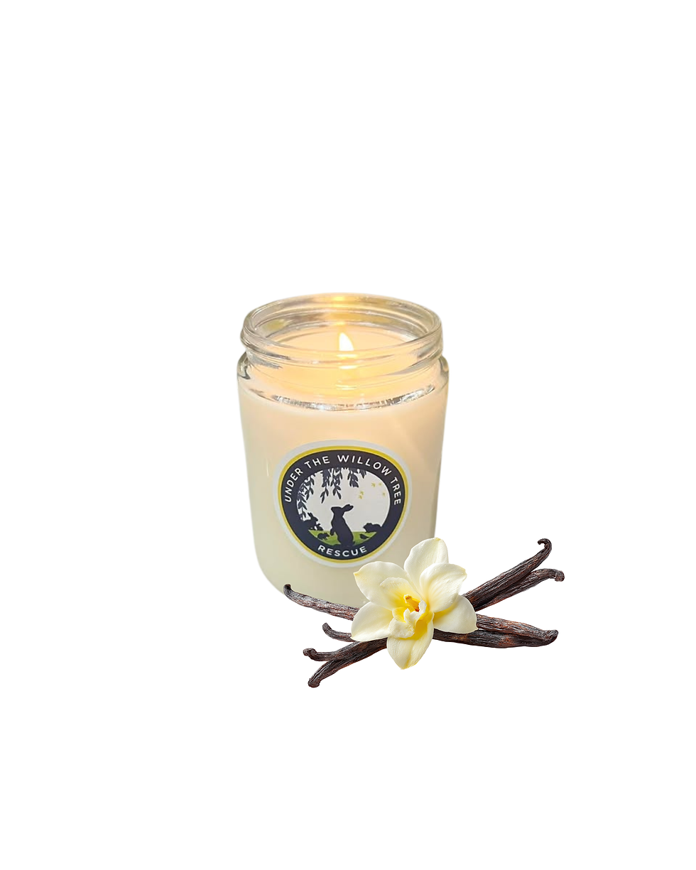 Thumbnail: UTWTR Candles