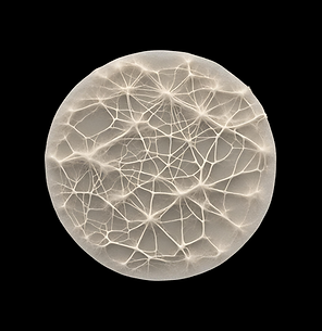 Placeholder for staff photos.png