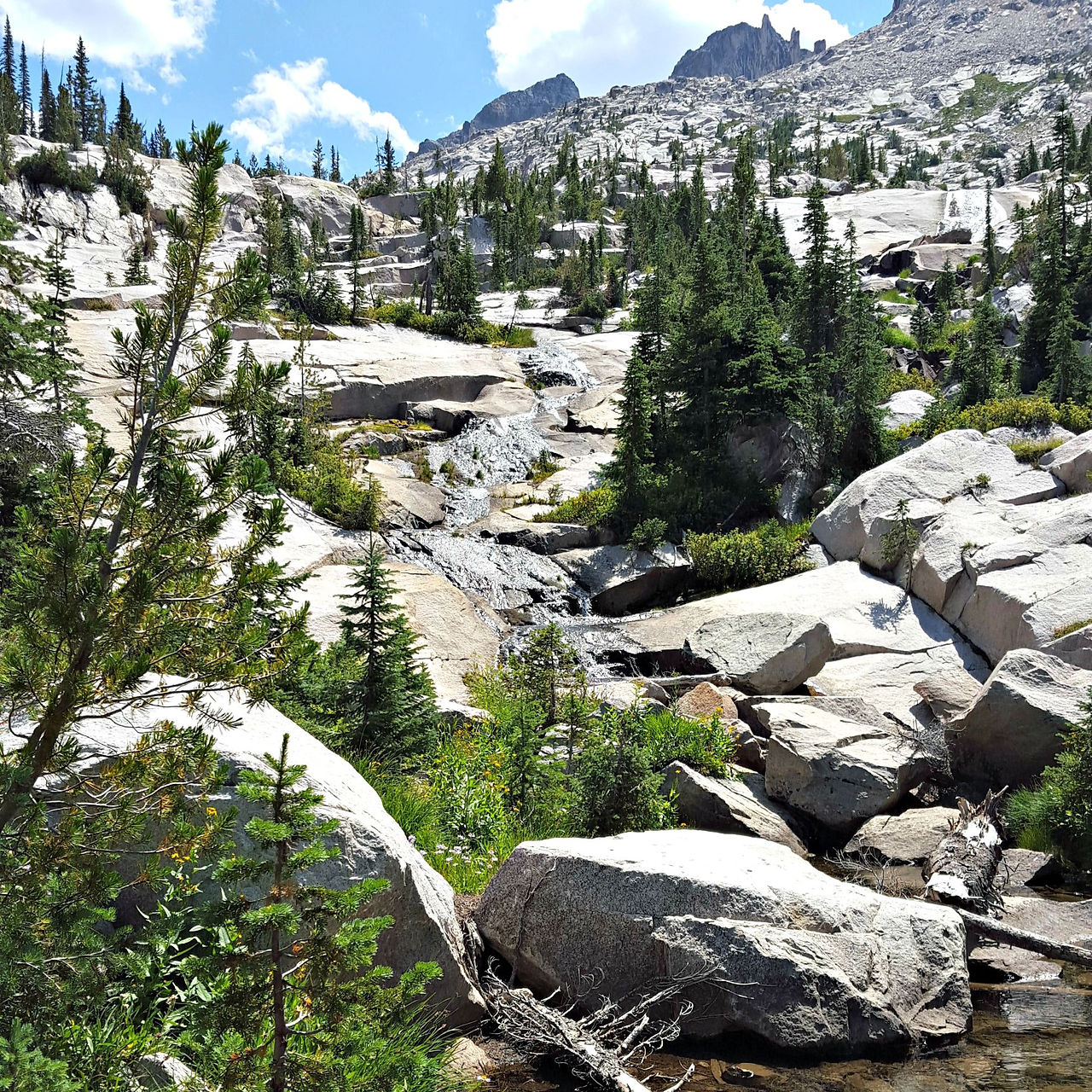 Sawtooth32