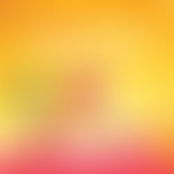 January 2026 Newsletter