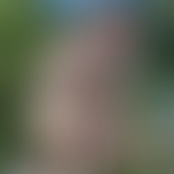 京都大学における霊長類研究の新体制について