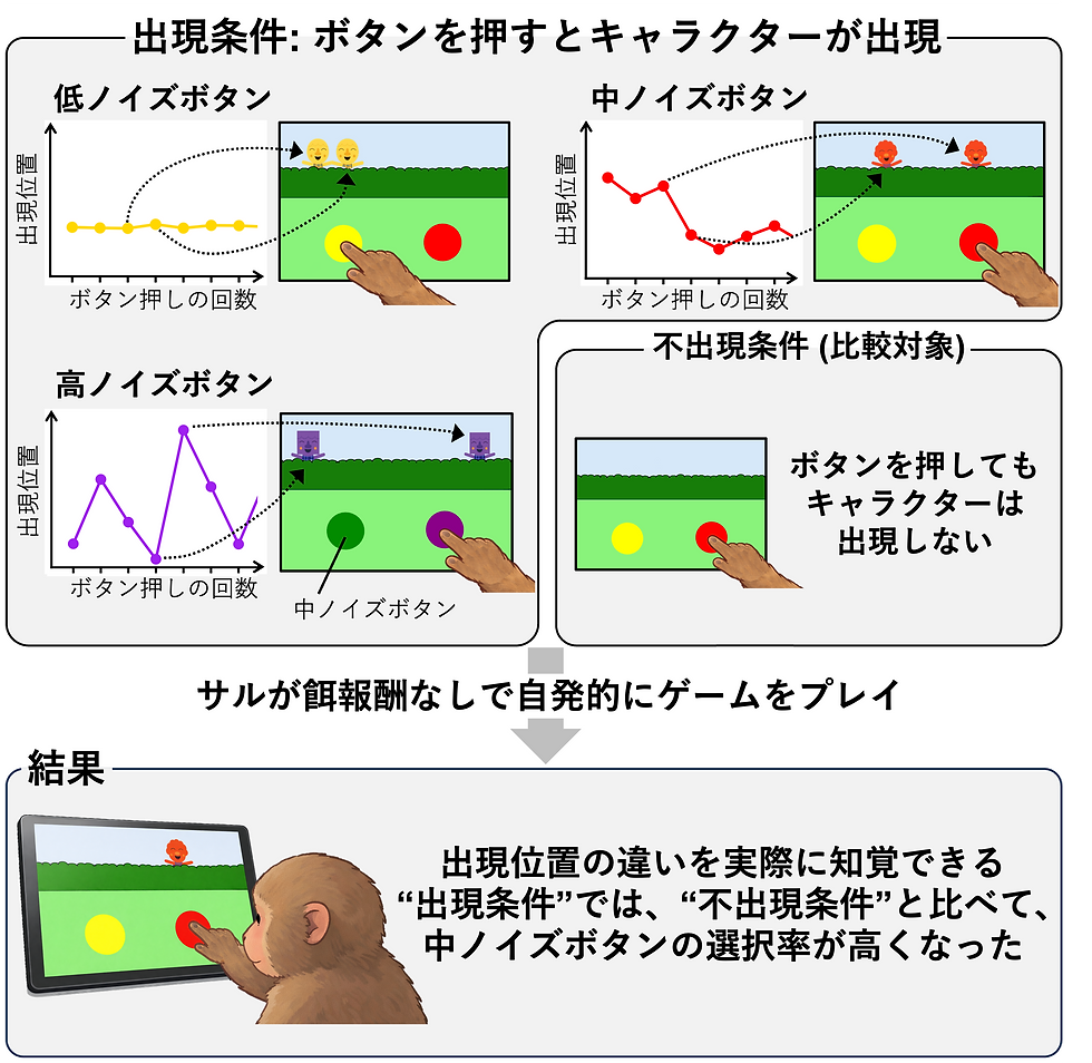 サルの好奇心:「ほどよく不確実」な刺激を自ら探索する―飼育動物向けビデオゲーム開発にもつながる知見―