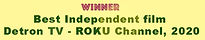 Detaron TV award - own logo_edited.jpg