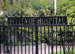 NYC Health & Hospitals, Bellevue