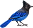 ChatGPT Image Aug 19, 2026, 09_46_18 AM.png