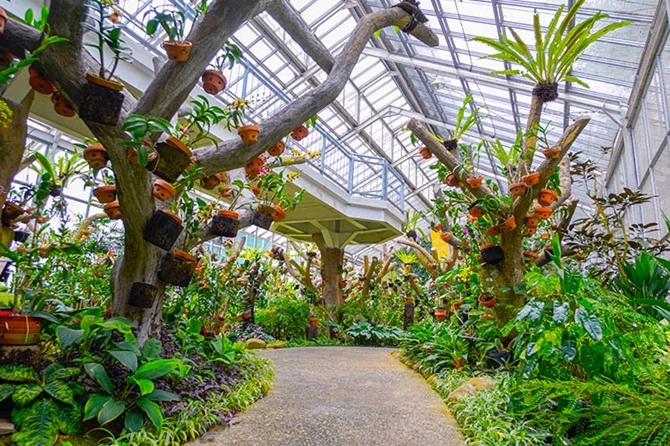8 Destinasi Wisata Indoor di Bogor yang Menyenangkan dan Kasih Pengalaman Berbeda — inspirasi dari Villa Bango di Cilember, Puncak