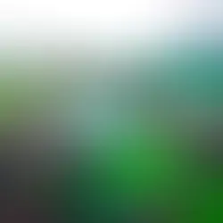 staycation di puncak bogor