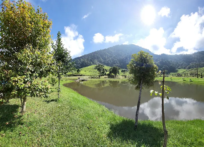 7 Destinasi Wisata dengan View Cantik di Puncak Bogor. Pasti Berkesan! — inspirasi dari Villa Bango di Cilember, Puncak