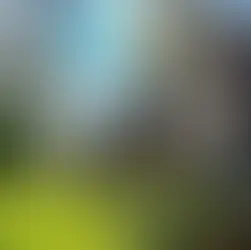 villa instagramable di puncak bogor