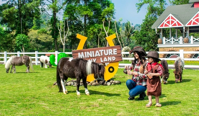 Wahana Dairyland Farm Theme Park Puncak Bogor yang Seru dan Kasih Pengalaman Tak Terlupakan — inspirasi dari Villa Bango di Cilember, Puncak