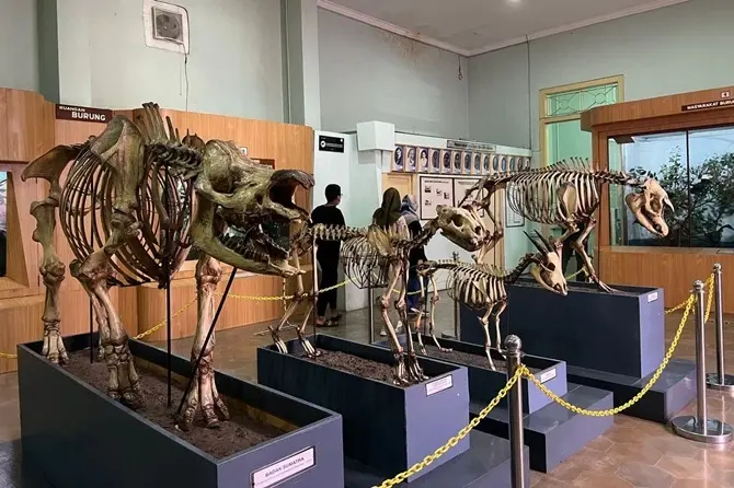 museum tempat liburan saat musim hujan