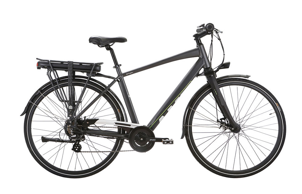 JLW0016 E-BIKE