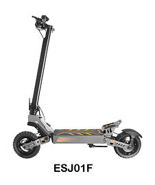 ESJ01F.jpg