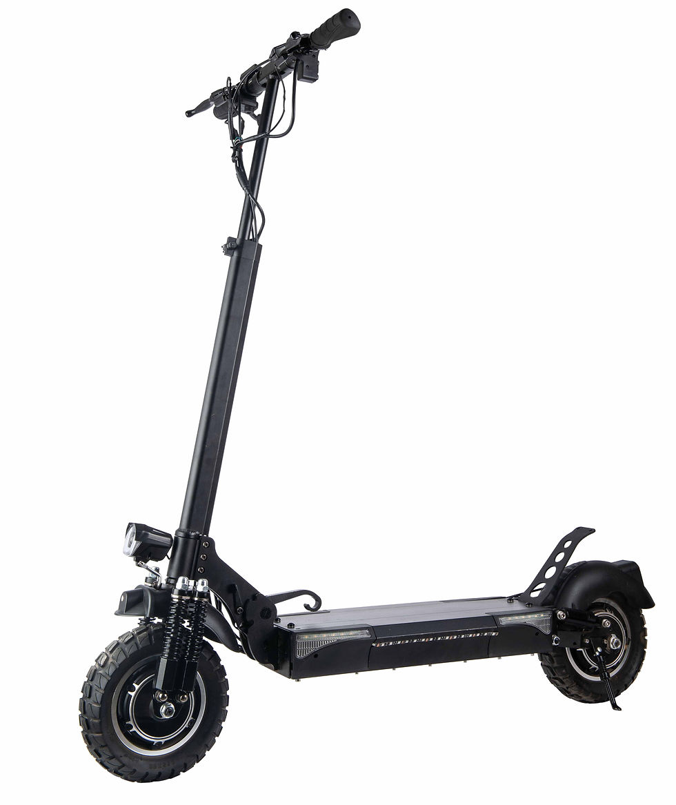 ESA-004 Dual (1)