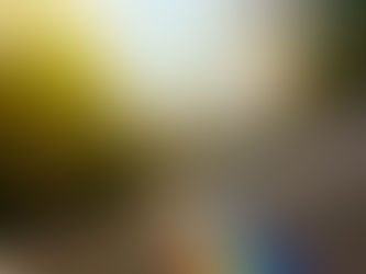 newly installed carpet