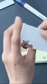IMG_1352.gif