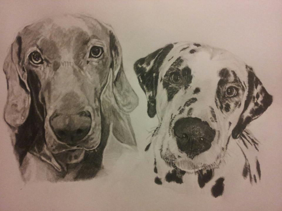 Double dog Portrait