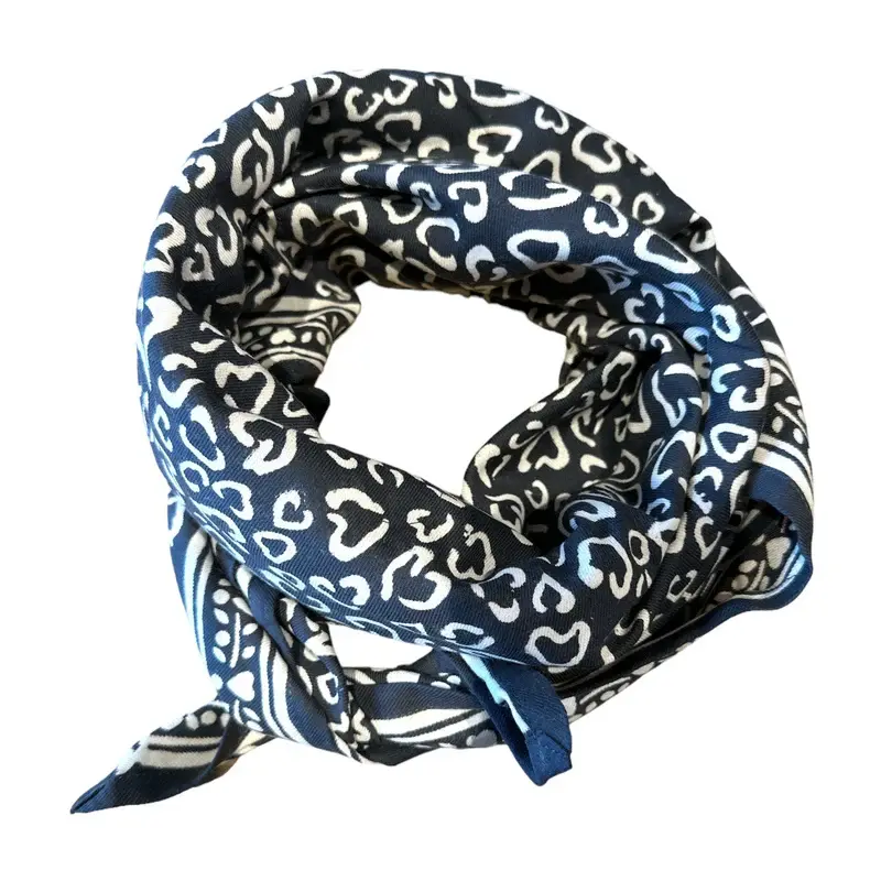 Miniature : Foulard Maison Augustin