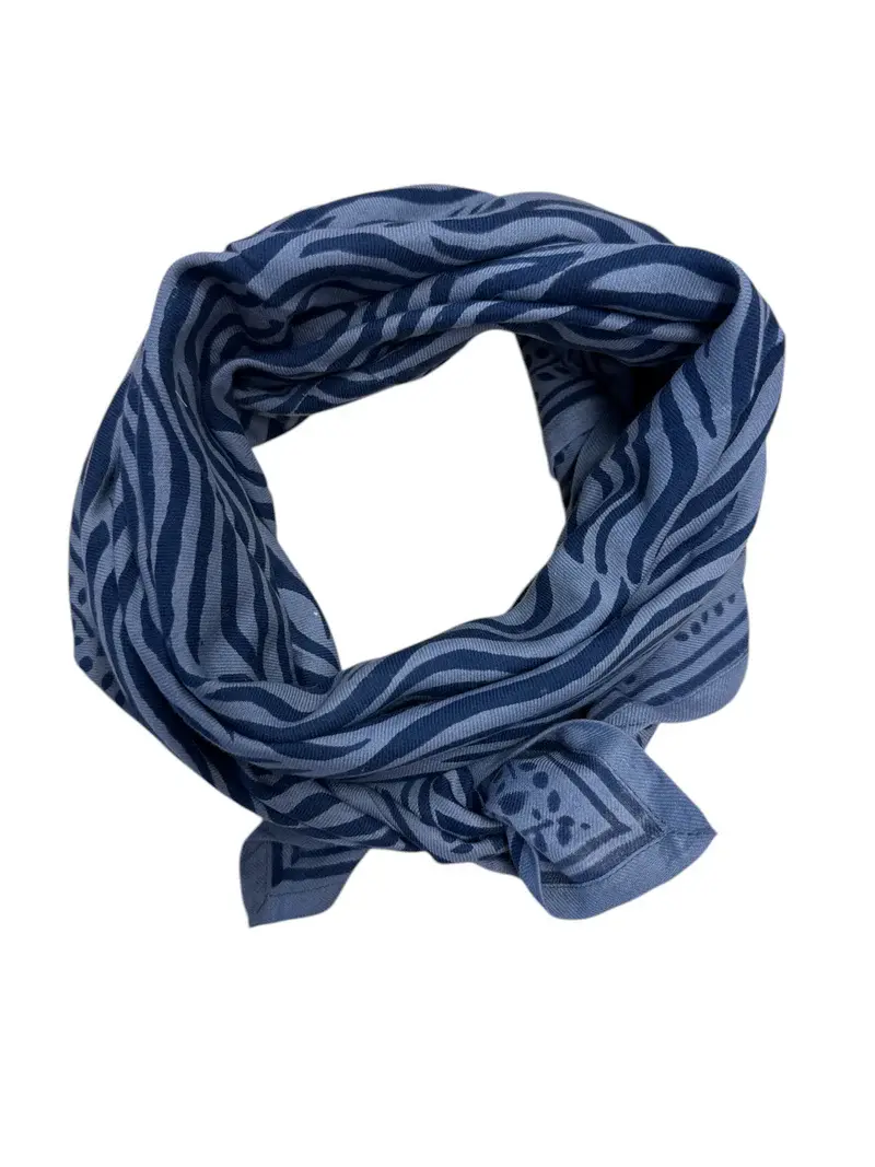 Miniature : Foulard Maison Augustin