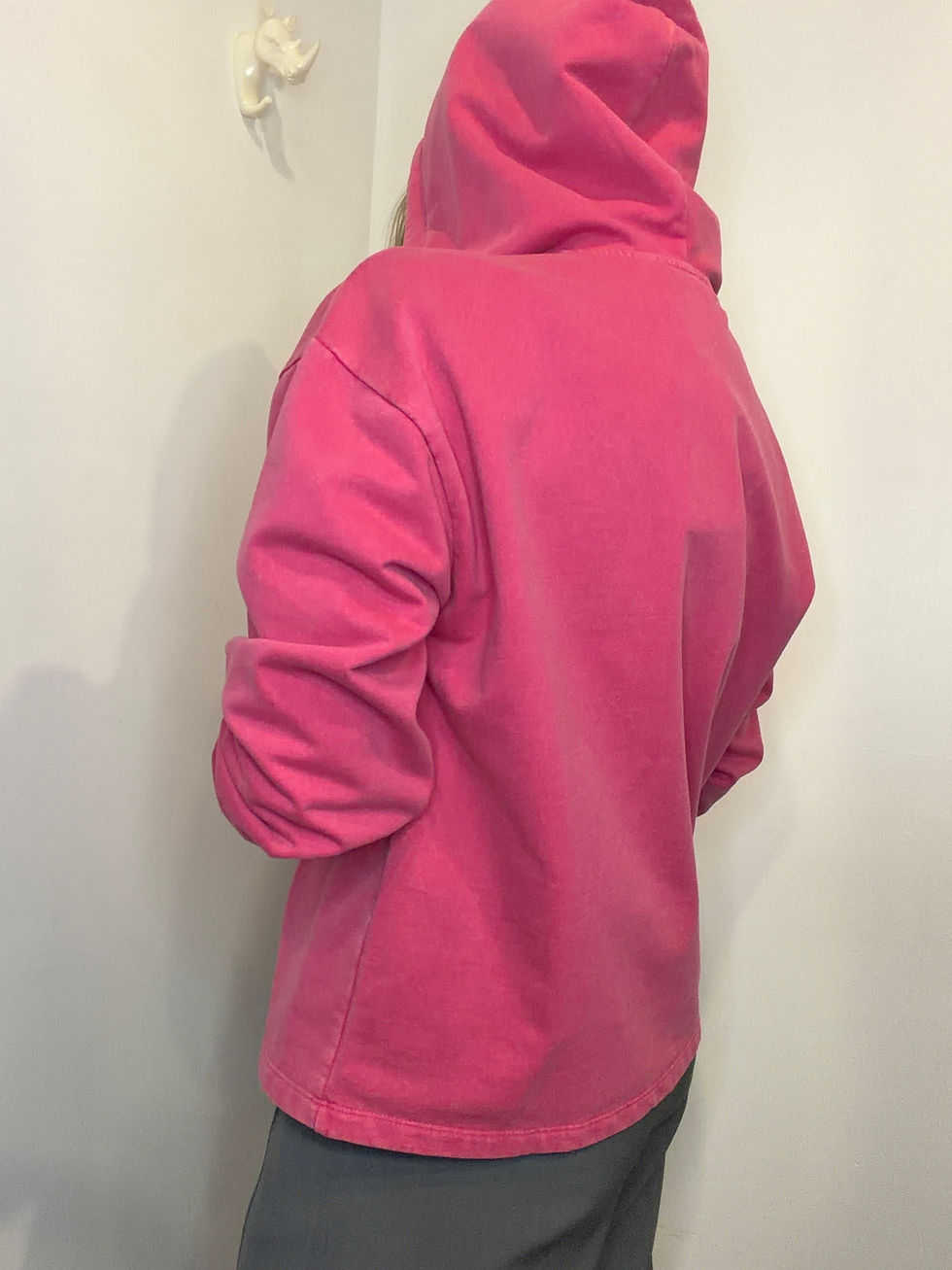 Miniature : Hoodie Texas 