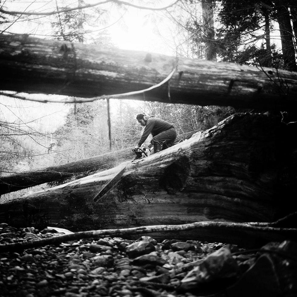 A black and white image of Joe Martin using a chain saw to cut into a cedar log.