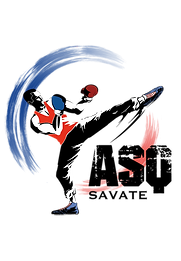 Savate boxe nouveau logo.png