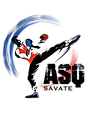 Savate boxe nouveau logo.png