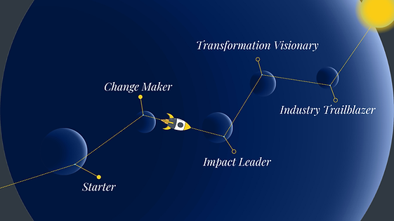 Career Transformation Journey
