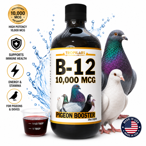 vitamin b12 injection for rooster Plus Iron Poultry Liquid Supplement 500ml Biovet Pharma The liquid form makes it simple to administer Vitamin B12 - 5000 with