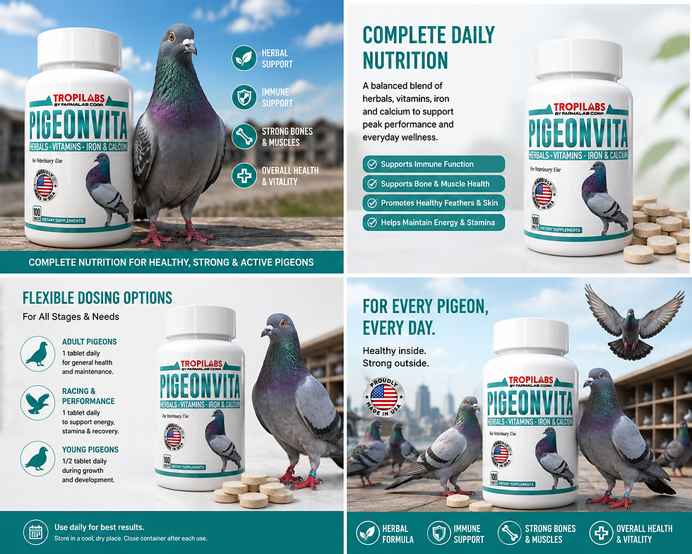 الصورة المصغرة: PIGEONVITA HERBALS - VITAMINS - IRON- CALCIUM