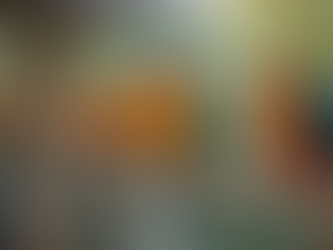 Discover the Best Avian Accessories at Gallosymas.com: Why Gallosymas.com is a Must-Visit for Avian Enthusiasts