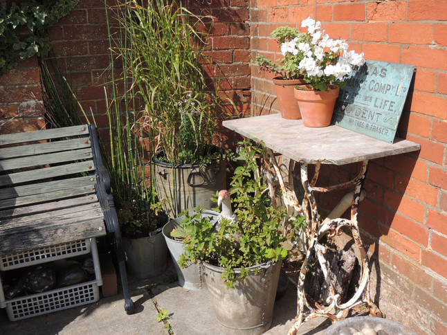 reuse revive bucket planters Ruth Bridgeman Garden Design.jpeg