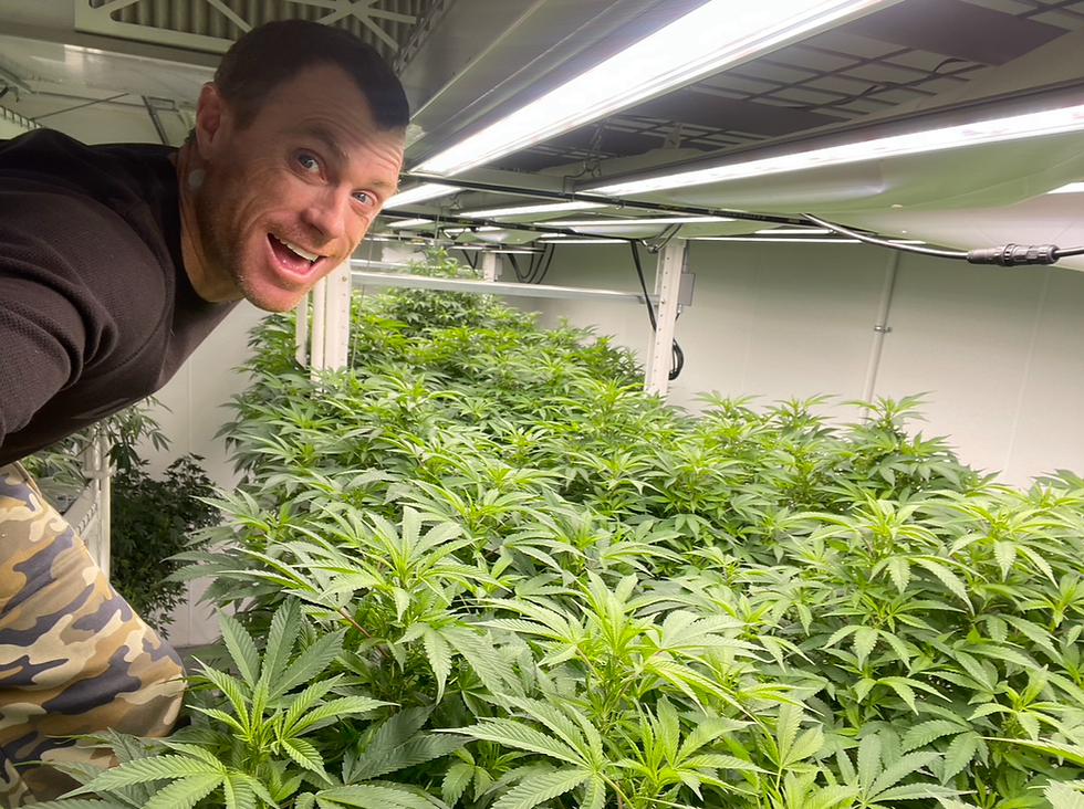 Thumbnail: Exotic & Super Limited Flower