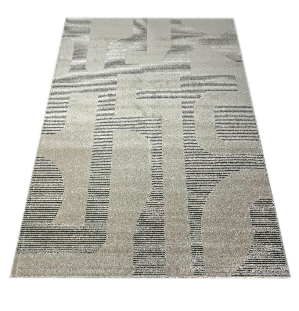 Miniatura: ALFOMBRA MODERNA LIVING SUAVE 6192