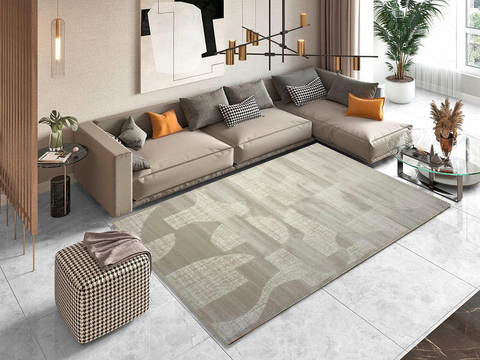 ALFOMBRA MODERNA SUAVE DIBUJO 6060