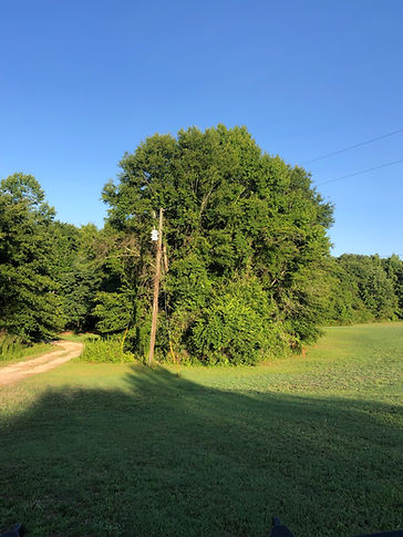 Photo Jun 20 2022, 7 39 11 AM.jpg